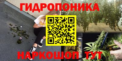 тгк Анжеро-Судженск