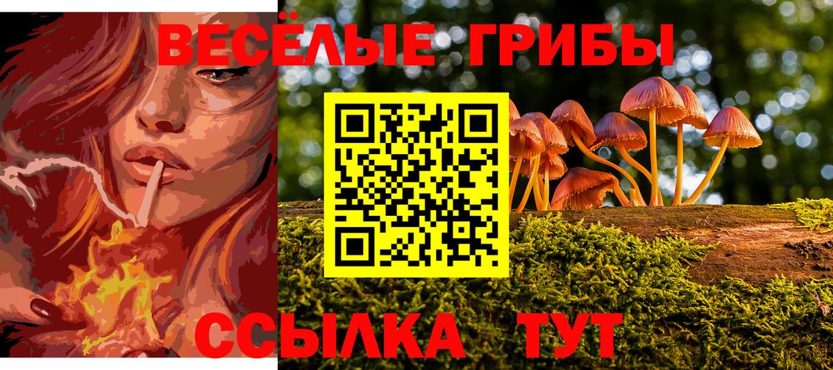 Галлюциногенные грибы MAGIC MUSHROOMS  Галлюциногенные грибы Magic Shrooms  Екатеринбург  Вход с VPN 