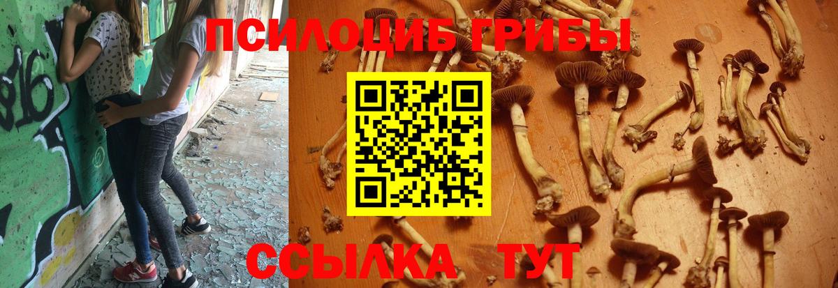 Галлюциногенные грибы мухоморы Екатеринбург