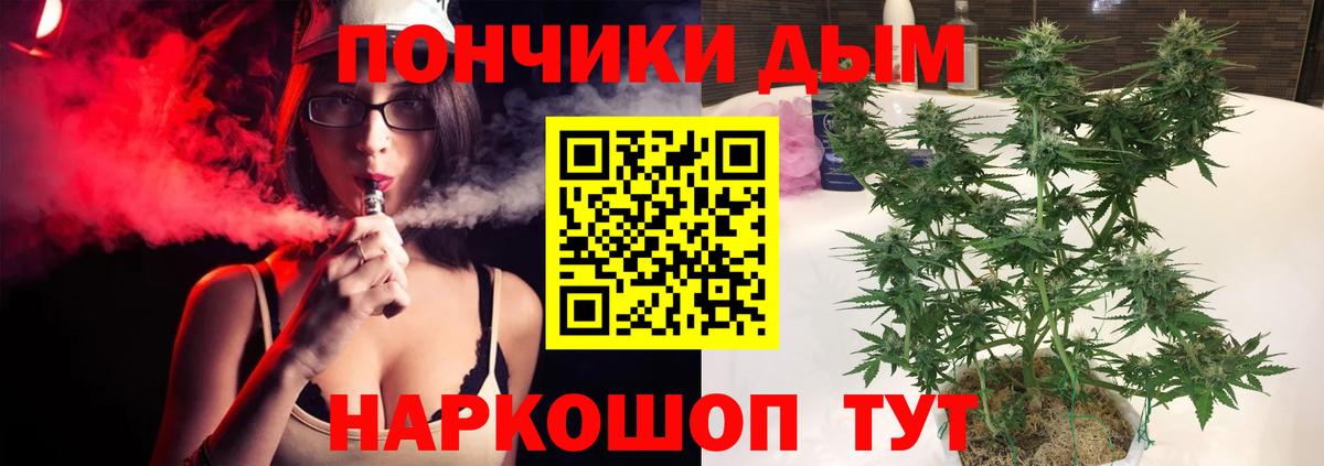 Екатеринбург  Шишки марихуана SATIVA & INDICA  Шишки марихуана сатива  Вход с VPN  Конопля индика 